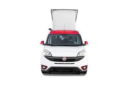 Multifunctional Car (2020)