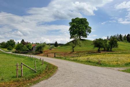 Romantische Straße
