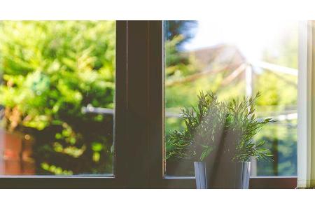 Fenster