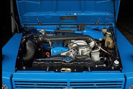 Expedition Motor Co. G Wagen Wolf