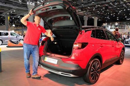 Opel Grandland X 4Hybrid Marcel Sommer