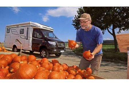 Hymer ML-T