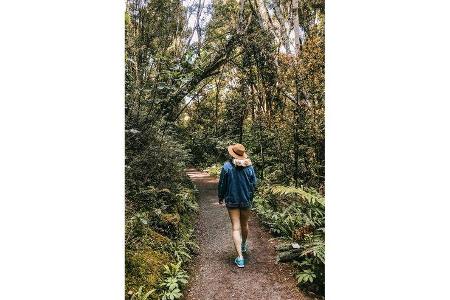 Campingbus-Tour Neuseeland