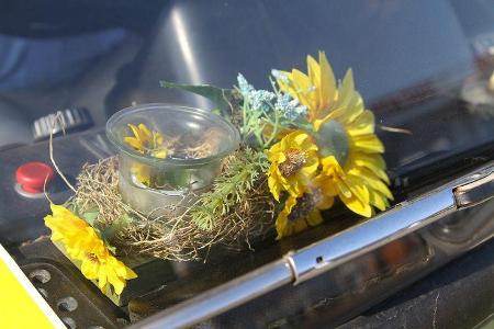 Blumenschmuck im Barkas Kombi: Nur das Teelicht fehlt noch.