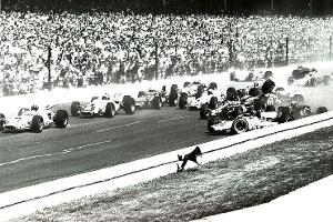 Indianapolis "Indy" 500