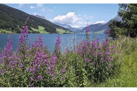 Südtirol