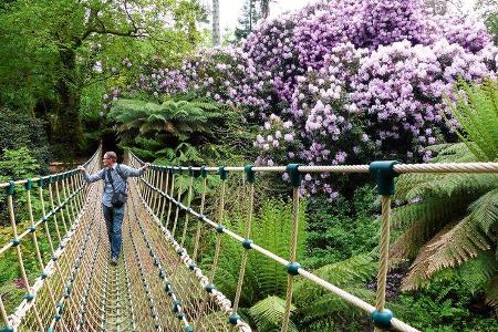 Der Dschungel in den Lost Gardens.