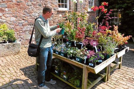 Der Plant Sales bei jedem Park fordert von mobilen Blumenfreunden viel Selbstdisziplin.