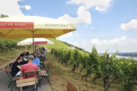 Stellplatz-Fokus Rheinhessen