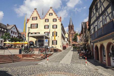 Stellplatz-Fokus Rheinhessen