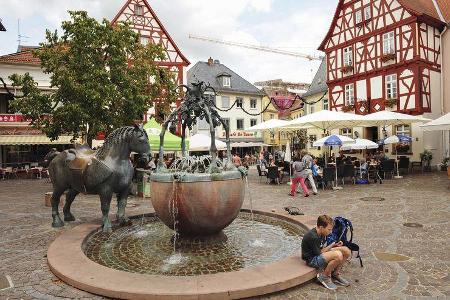 Stellplatz-Fokus Rheinhessen