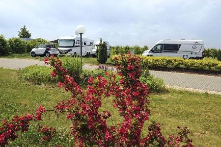 Stellplatz Ingelheim