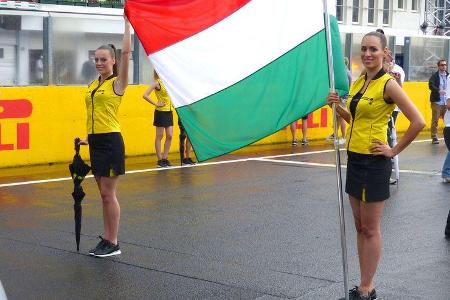 Formel 1-Girls - GP Ungarn 2014