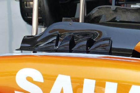 Force India - Formel 1 - GP Malaysia - Sepang - 27. März 2014