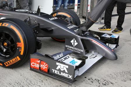 Sauber - Nase - Formel 1 - Jerez-Test - 2014