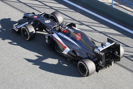 Sauber C32 Formel 1 2013 Technik