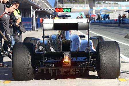 Sauber C32 Formel 1 2013 Technik