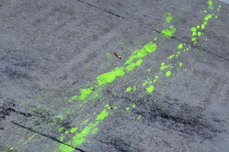 Floviz-Spuren - Formel 1 - GP Italien - Monza - 6. September 2013