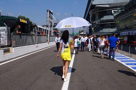 Girls - Formel 1 - GP Italien - Monza - 6. September 2013