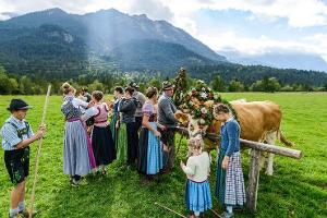 Die Tradition der Almabtriebe