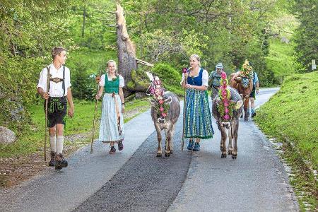 Almabtrieb