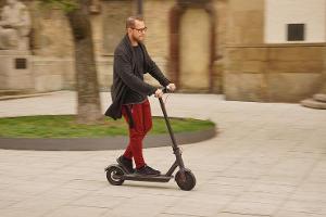 Scheuer fordert härteres Vorgehen