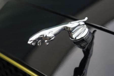 Arden AJ 24 Jaguar XE