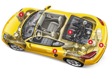 Porsche Cayman, Igelbild
