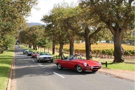 Im Konvoi durch die Winelands.