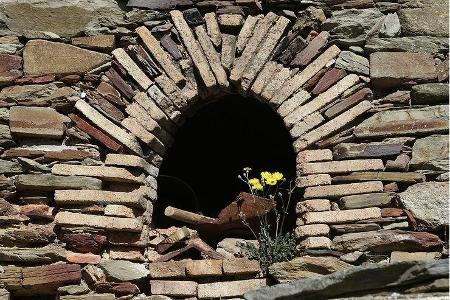 ... und führte seitdem ein Mauerblümchen-Dasein.