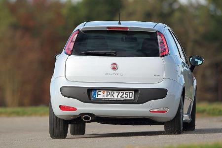 1210, Fiat Punto Evo