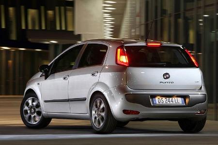 1210, Fiat Punto Evo