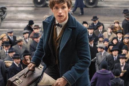 Auf dem Weg ins Kino: Eddie Redmayne als Newt Scamander