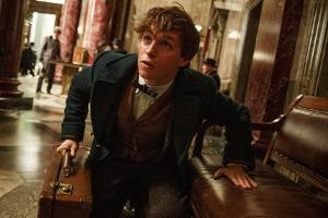 "Fantastic Beasts": Statt einer Trilogie wird es fünf Filme geben
