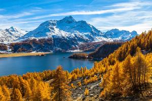 Bunte Bergwelt in der Schweiz