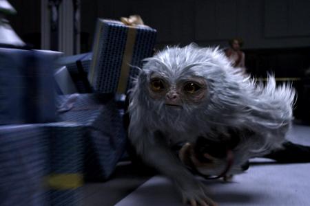 Ein Demiguise ist ein affenähnliches Tier mit flauschigem, silbrigem Fell - und großen dunklen Augen.