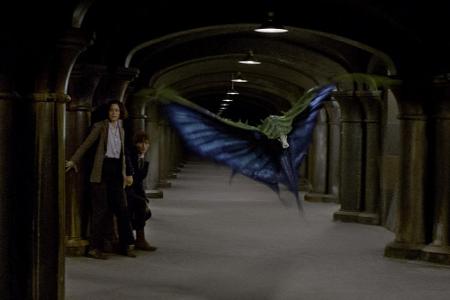 Der Swooping Evil erinnert an einen großen Schmetterling. Mit seinem Gift lassen sich schlechte Erinnerungen löschen. Für Ne...