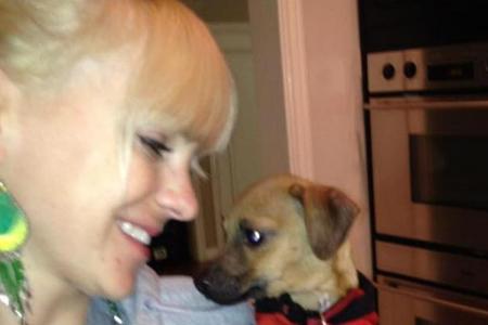 Anna Faris und ihr Vierbeiner Pete - hier noch glücklich vereint Anna Faris und ihr Vierbeiner Pete - hier noch glücklich vereint