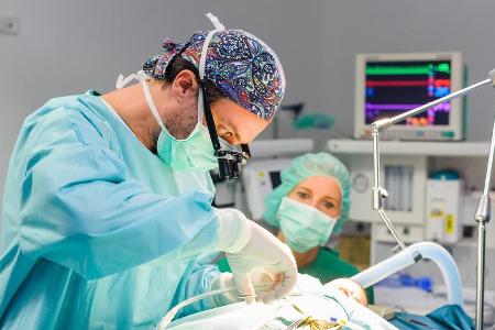 Wird die OP von Henry gut verlaufen? Wird die OP von Henry gut verlaufen?