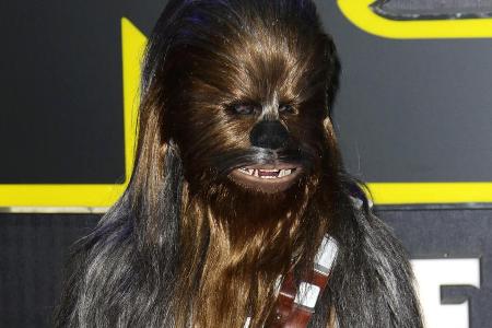 Chewbacca bleibt Han Solo treu Chewbacca bleibt Han Solo treu