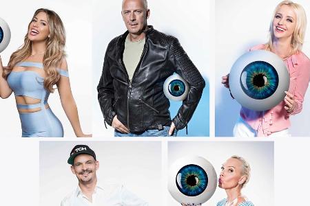 Fünf Promis haben es in das große Finale geschafft - wer wird der Sieger? Fünf Promis haben es in das große Finale geschafft - wer wird der Sieger?