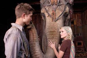 TV-Tipps am Mittwoch