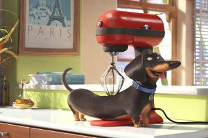 Animationshit "Pets" bekommt eine Fortsetzung