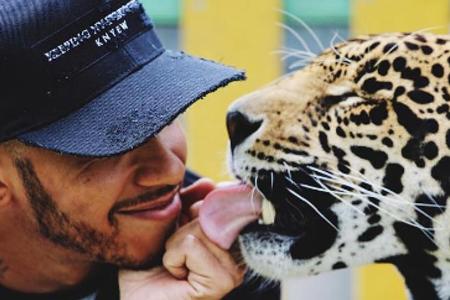 Eines der umstrittenen Bilder von Lewis Hamilton Eines der umstrittenen Bilder von Lewis Hamilton