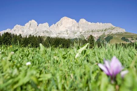 Imposanter Dolomiten-Vertreter: der Rosengarten