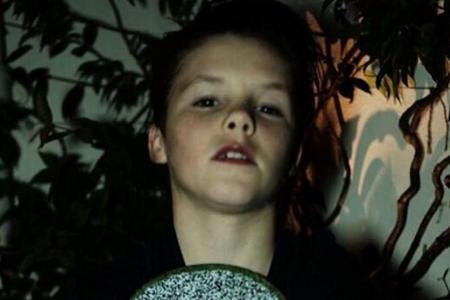 Cruz Beckham wird Sänger Cruz Beckham wird Sänger