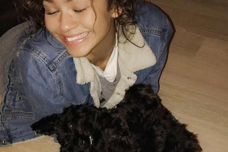 Zendaya strahlt mit ihrem Hund um die Wette Zendaya strahlt mit ihrem Hund um die Wette