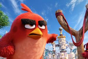 Red und die anderen "Angry Birds" nehmen es mit den Schweinchen auf
