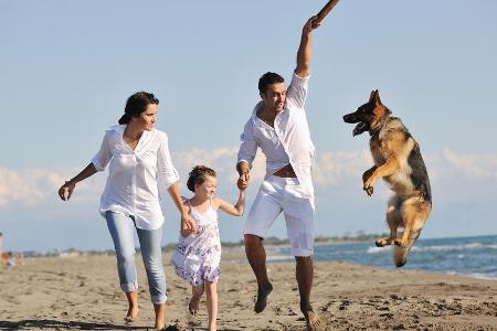 Stellen Sie sicher, dass Ihr Hund auch an den Strand darf.