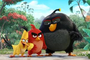 Die "Angry Birds" dominierten am Wochenende die Kinokassen